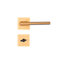 CE -21-